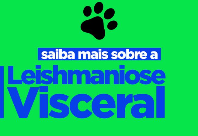 Saúde alerta para prevenção de casos de Leishmaniose